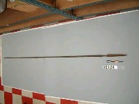 藏品(槍)的圖片